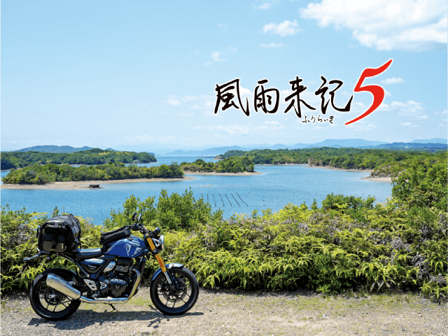 風雨来記5