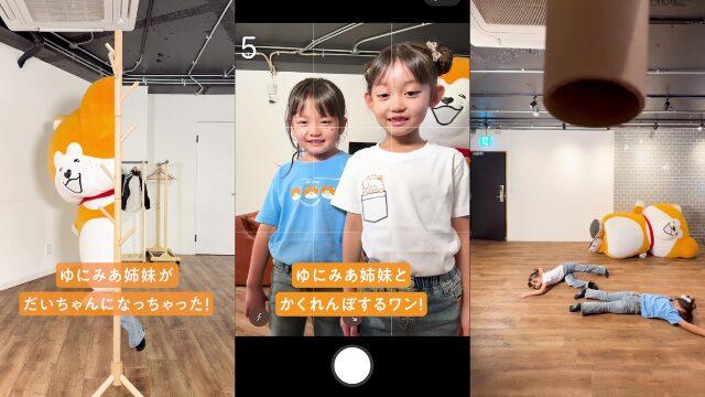 秋田犬たれみみだいちゃん<br>×ゆにみあ コラボ縦型動画