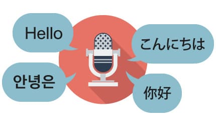多言語対応